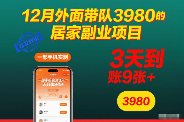 12月外面带队3980的居家副业项目，一部手机实测3天到账9张+，首发教程【揭秘】